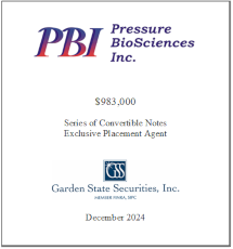 GSS Capital Group selected transaction — Pbi · Dec2024