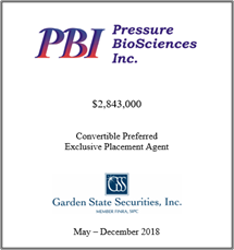 GSS Capital Group selected transaction — Pbi · Maydec2018